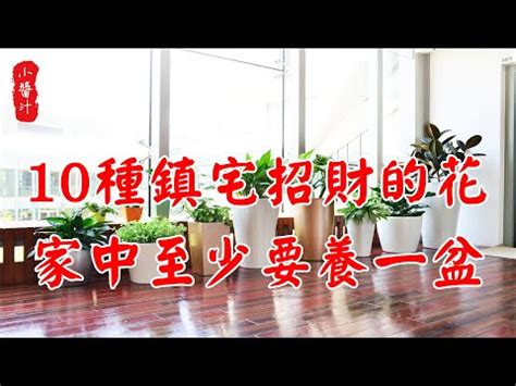 紅色植物風水 西邊方位